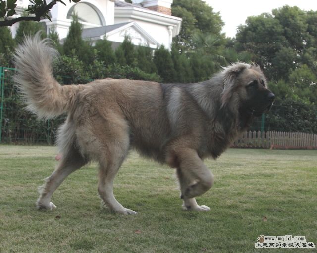 20101029_693d014_D1.JPG