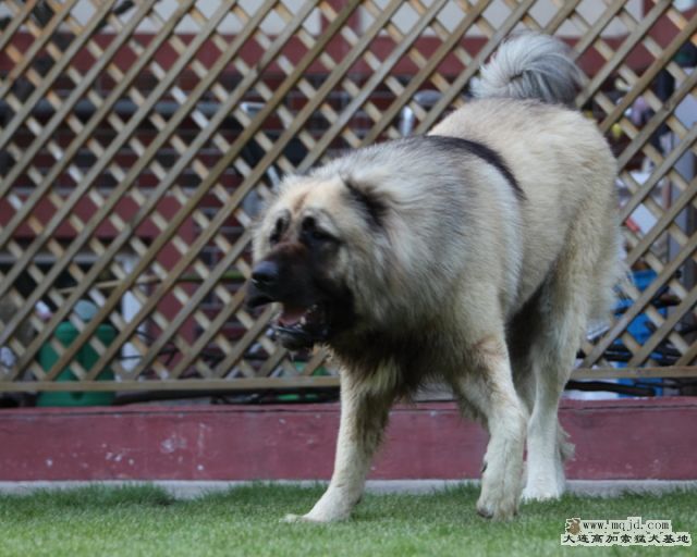 20100801_609d009_D1.JPG