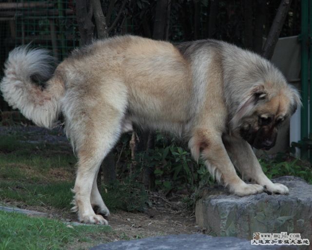 20100718_596d019_D1.JPG