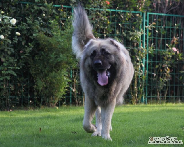 20100919_657d029_D1.JPG