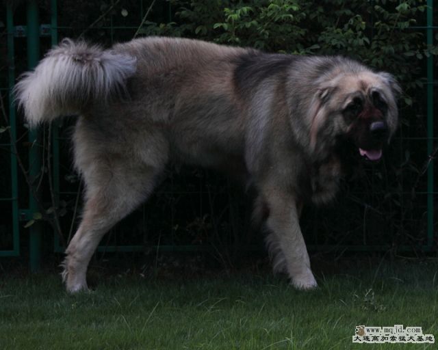 20100718_596d033_D1.JPG