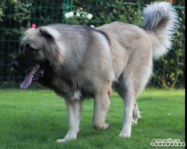 20100919_657d031_D1.JPG