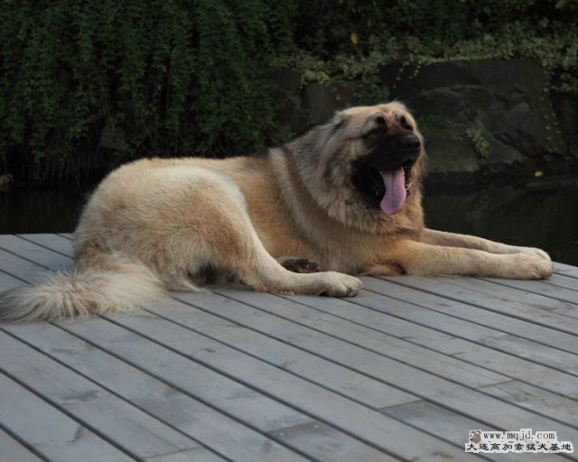 20100718_596d037_D1.JPG
