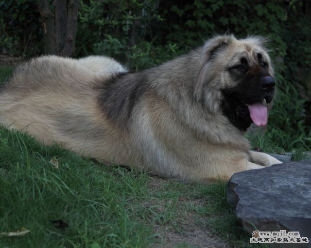 20100718_596d022_D1.JPG