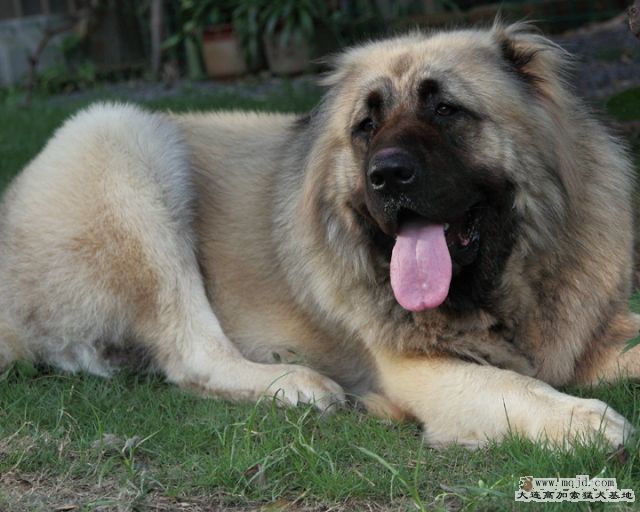 20100718_596d002_D1.JPG