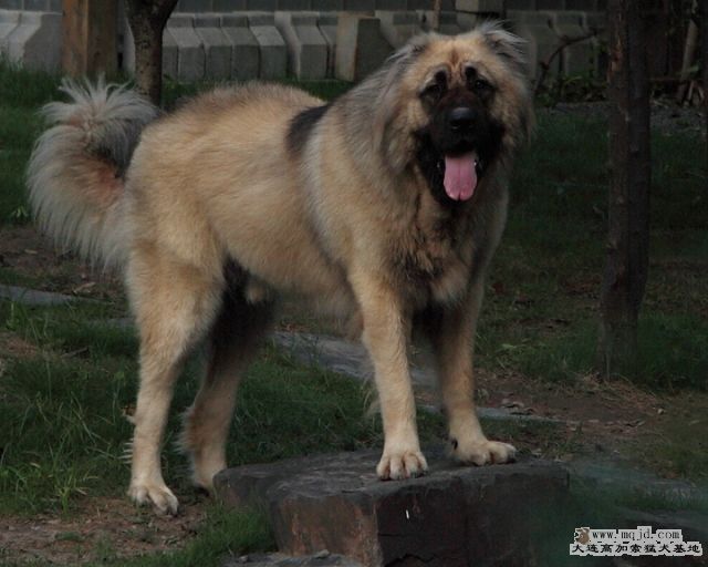 20100718_596d028_D1.JPG