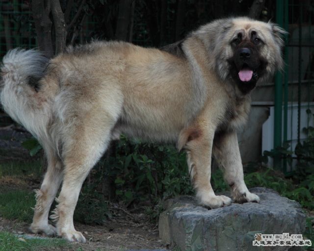 20100718_596d018_D1.JPG
