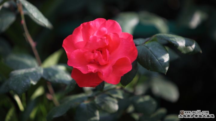 20110508_BOG_010_HD.JPG
