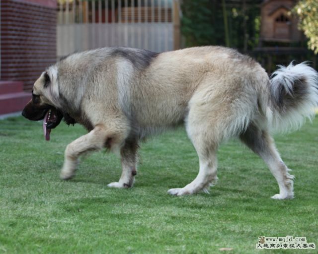 20100801_609d025_D1.JPG