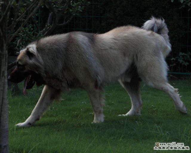 20100718_596d034_D1.JPG