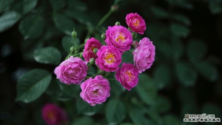 20110508_BOG_015_HD.JPG