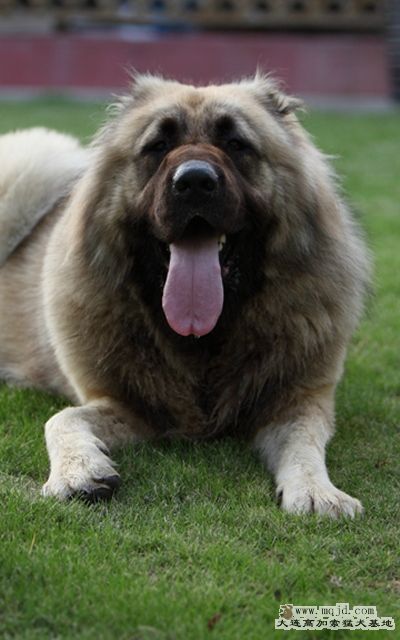 20100801_609d007c_D1.JPG