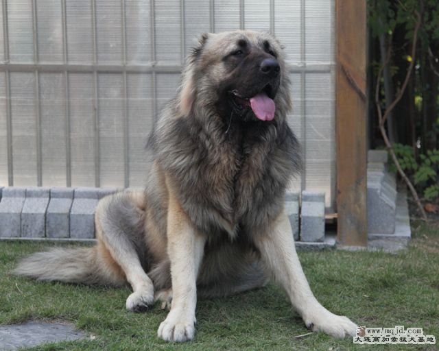 20101029_693d017_D1.JPG