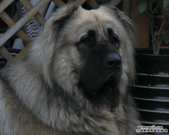 20101004_668D023c_D1.JPG