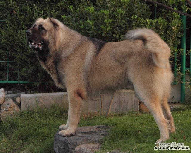 20100919_657d027_D1.JPG