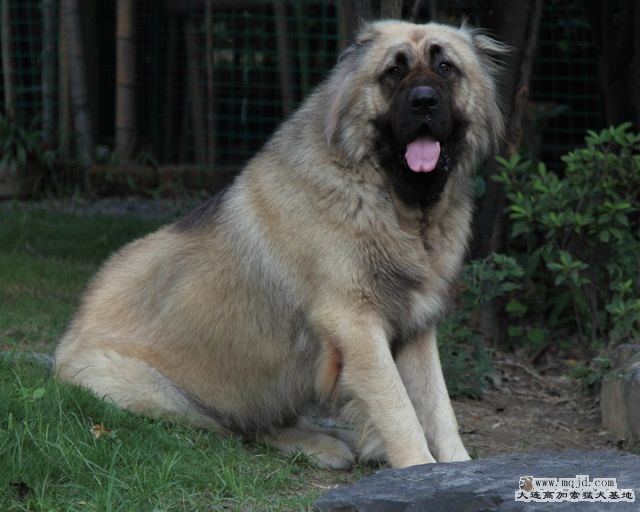 20100718_596d020_D1.JPG