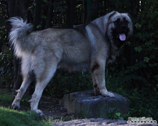 20100919_657d008_D1.JPG