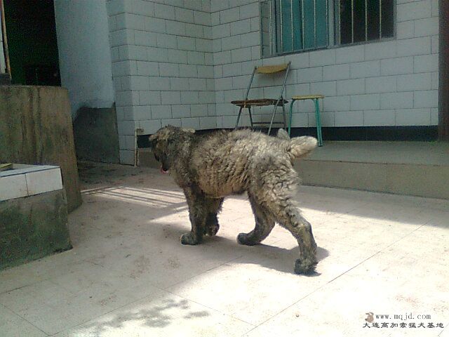 Ƭ0260.jpg