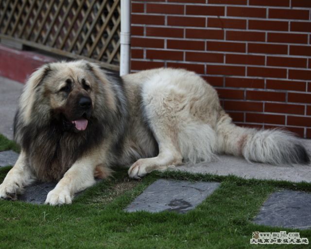 20110508_881d_29.5m_004.JPG