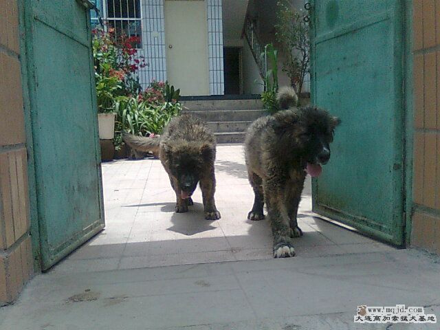 Ƭ0265.jpg