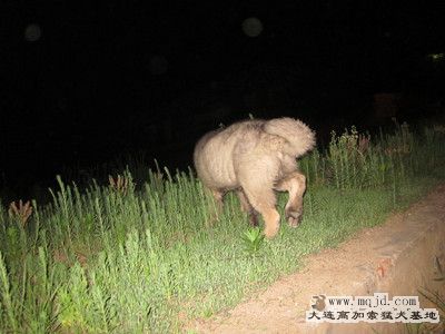 img_0324_.jpg