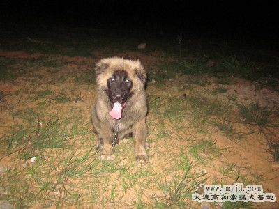 img_0348_.jpg