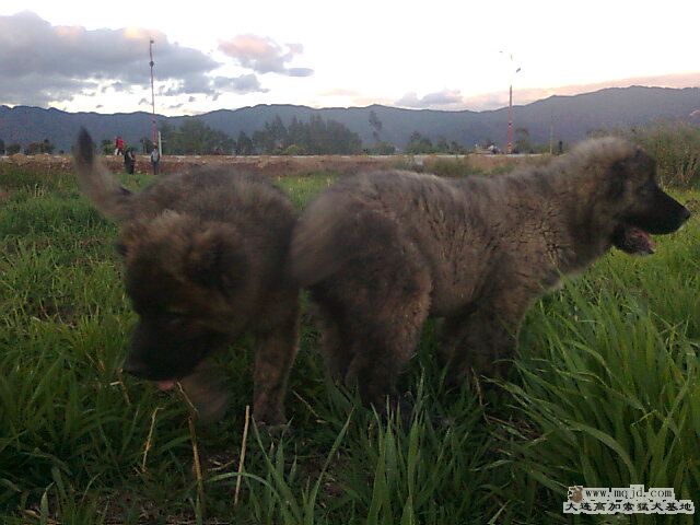 Ƭ0226.jpg