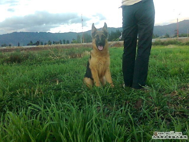 Ƭ0228.jpg
