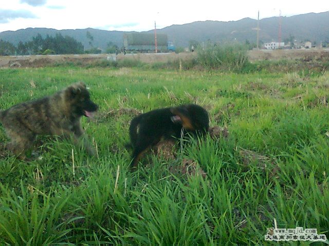 Ƭ0221.jpg