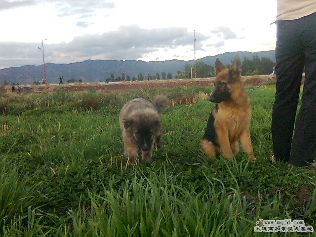 Ƭ0227.jpg