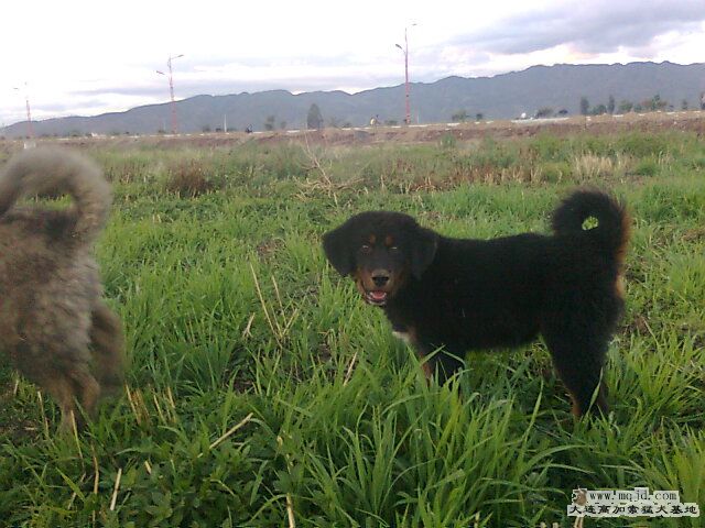 Ƭ0223.jpg