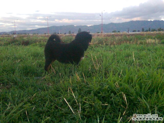 Ƭ0225.jpg