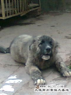 Ƭ0288_001.jpg