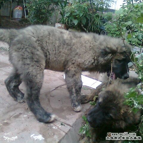 Ƭ0280_001.jpg