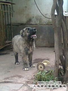 Ƭ0284_001.jpg