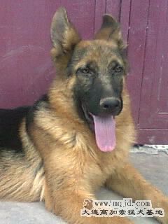 Ƭ0246_001.jpg