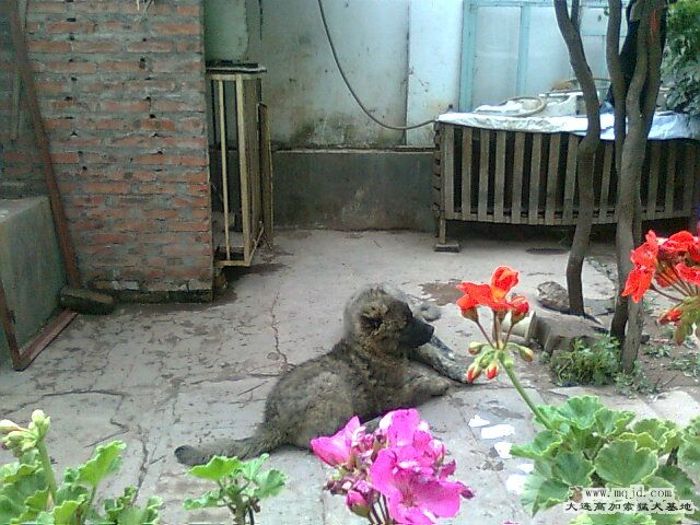 Ƭ0270.jpg