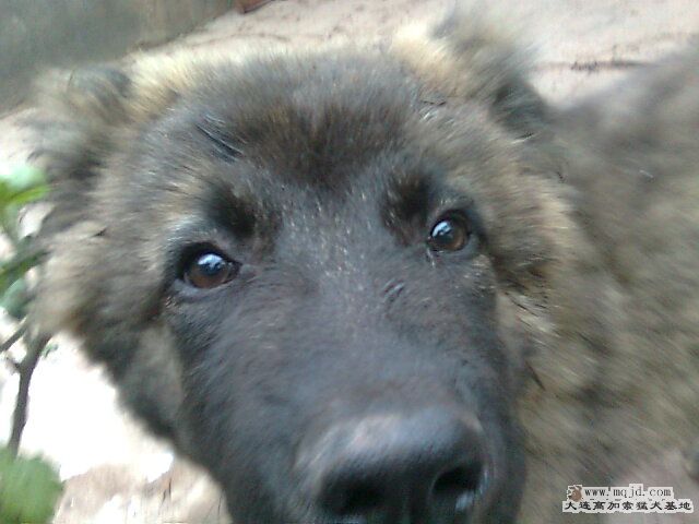 Ƭ0303.jpg