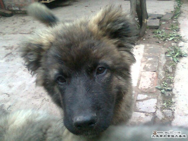 Ƭ0302.jpg