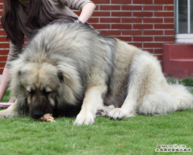 20110522_895d_30m_021b_D1.JPG
