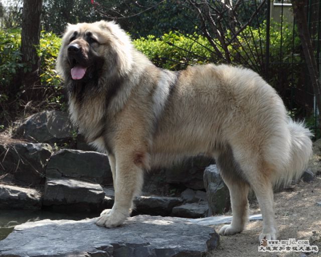 20100328_484d015_D1.JPG
