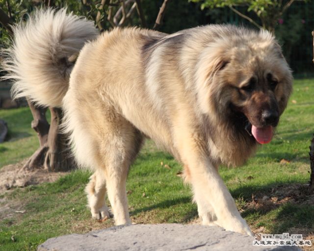 20100501_518d013_D1.JPG