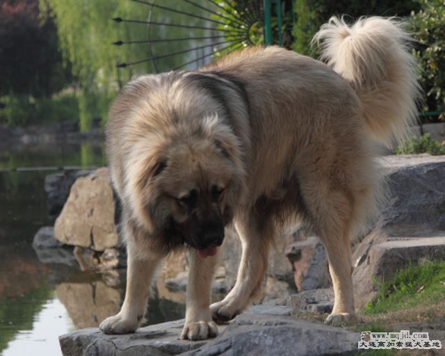 20100501_518d012_D1.JPG