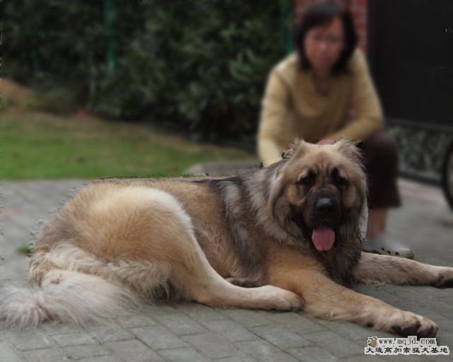20100605_553d004_D1.JPG