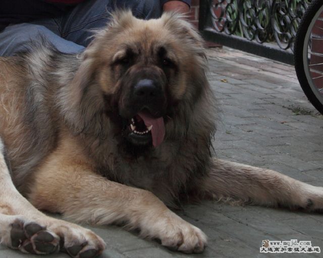 20100605_553d008b_D1.JPG