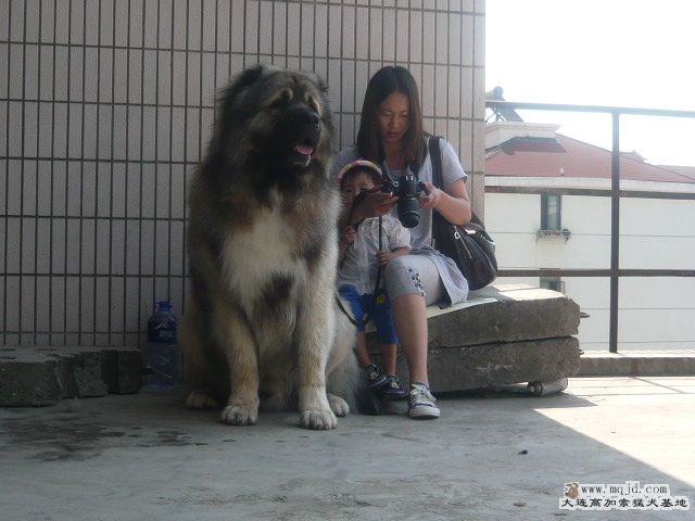 P1060422.JPG