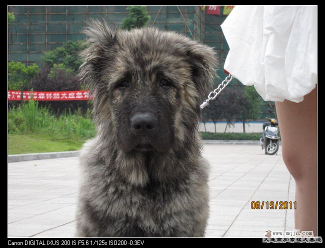 nEO_IMG_Ƭ 065.jpg