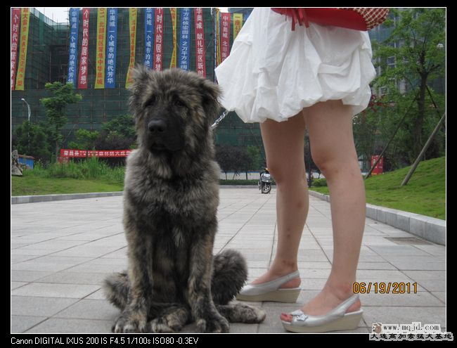 nEO_IMG_Ƭ 064.jpg