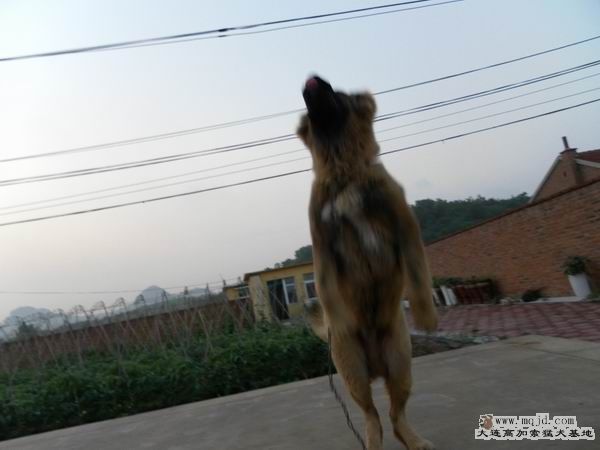 2011062312.JPG