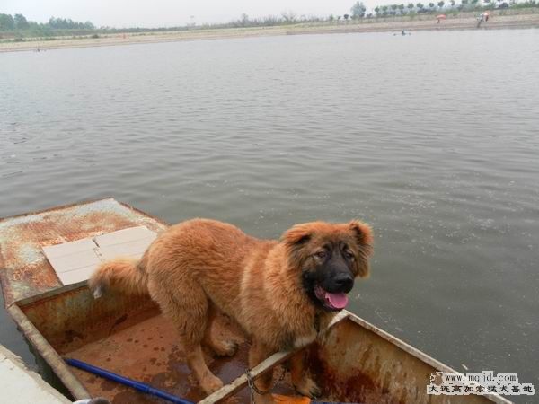 2011062107.JPG